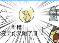 第五人格：慈善家拿着手电筒去溜监管者？空军玛尔塔：脑子进水了
