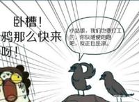 第五人格：慈善家拿着手电筒去溜监管者？空军玛尔塔：脑子进水了