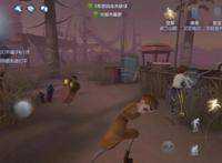 第五人格：空军的简单玩法，学会这个小白很难输！
