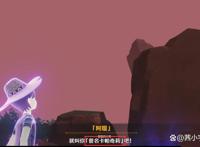 原神雷电将军为什么要杀雷鸟