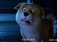 白蛇缘起：那条会说人话的狗，后来竟成了许仙的姐夫