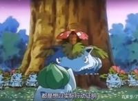 精灵宝可梦：除了皮卡丘，这些神奇宝贝也不愿意进化，原因在这里