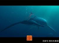 4部国漫档期，《白蛇缘起》票房曲线最虐，直接差《哪吒》19个亿