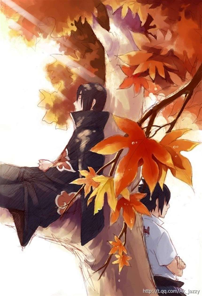 火影!