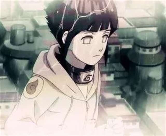 人物传记,日向雏田