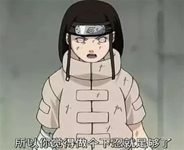 人物传记,日向雏田