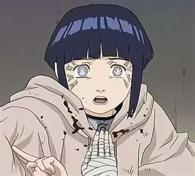 人物传记,日向雏田