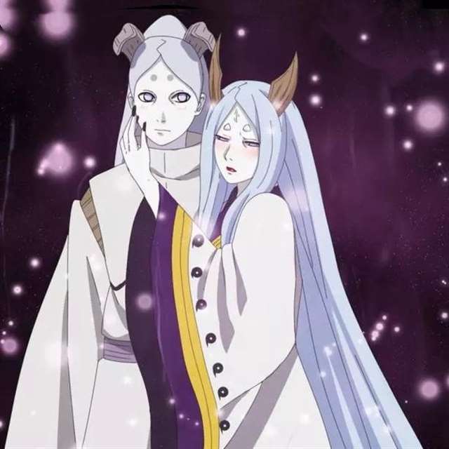 火影忍者:与辉夜结为伴侣的男生