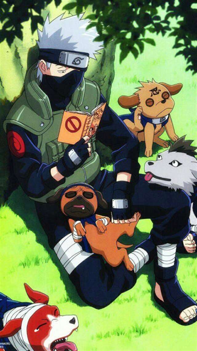 卡卡西!
