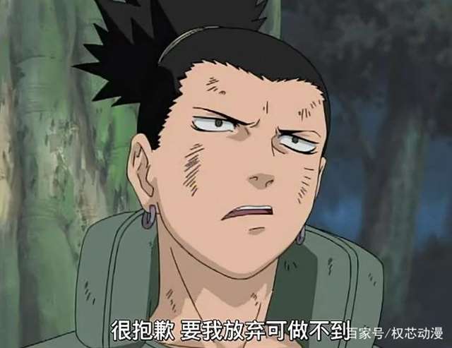 火影里面人气颇高的一对夫妻鹿丸与手鞠