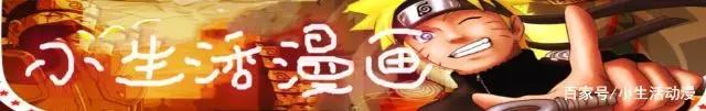 火影忍者知识点:老司机快来看,你知道一半我都算你及格