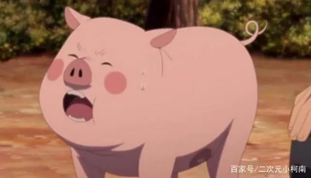 还记得纲手的宠物小猪豚豚吗?它没被纲手吃掉,也已经有崽了