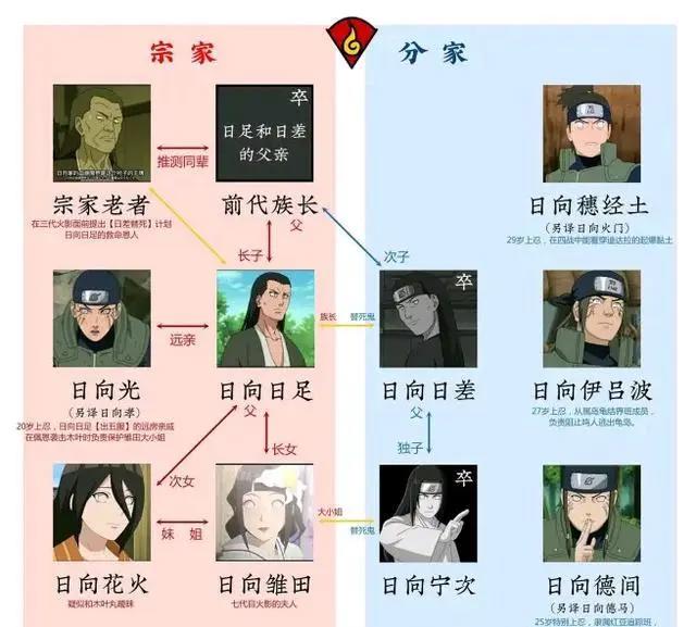 日向一族有宗家、分家的传统，那雏田是分家，花火是宗家吗？