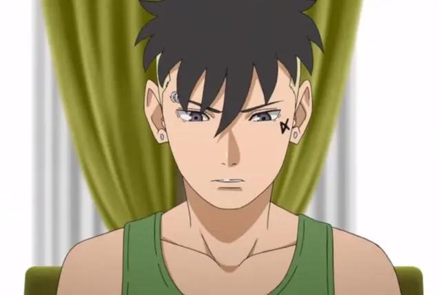 鸣人收养川木，壳组织不是主要原因，博人也知情