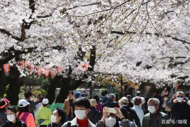 日本疫情:东京奥运会面临延期奈良小鹿到处觅食