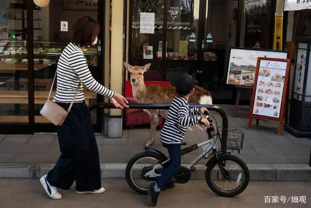 日本疫情:东京奥运会面临延期奈良小鹿到处觅食
