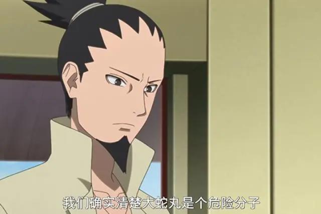 火影忍者:谁能成为下一任火影的助手?蛇叔要不要考虑一下