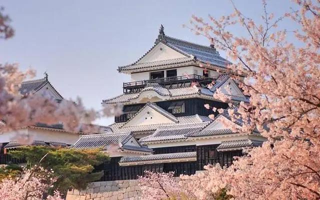万物皆可萌!来日本超卡哇伊的吉祥物故乡看一看!