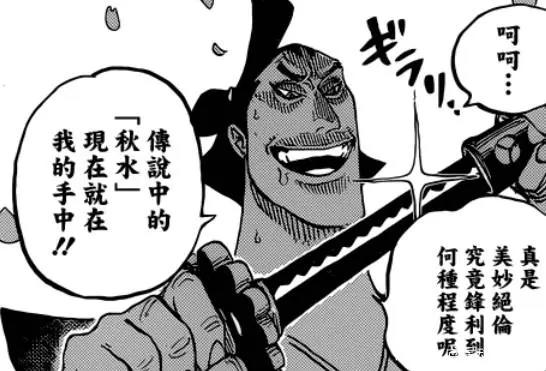 海贼王漫画：罗宾子成为世界第一美女，浪人索隆挥刀杀敌