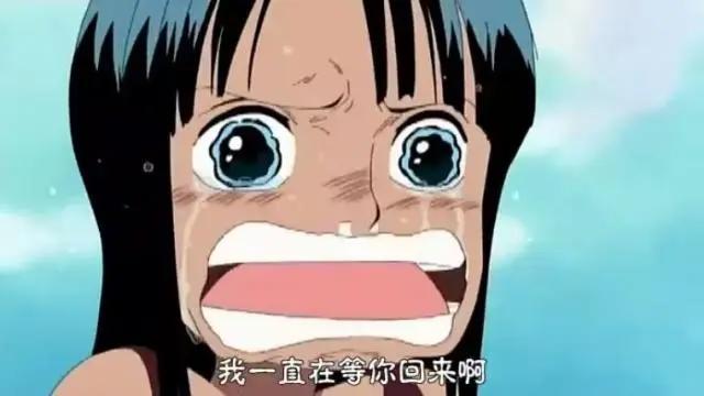 罗宾的三个秘密，一个只有乔巴知道，一个暗示她会离开草帽团