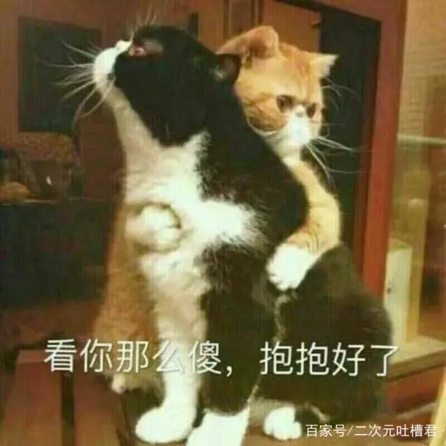 当海贼王成必然,他究竟是团宠男,还是个修罗帝?其实一切很明显