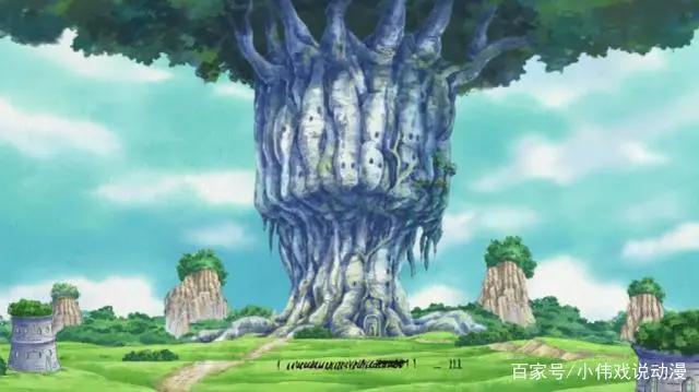 当年奥哈拉事件结束后，为何战国没有揭穿，是青雉帮助罗宾逃跑的