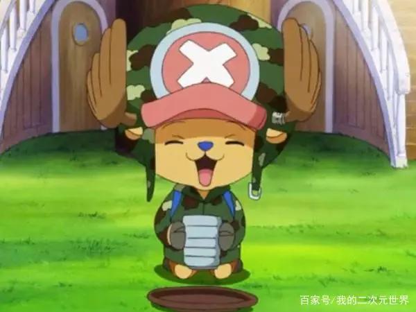 海贼王:从路飞、山治等船员身份猜测,娜美、索隆身世不简单