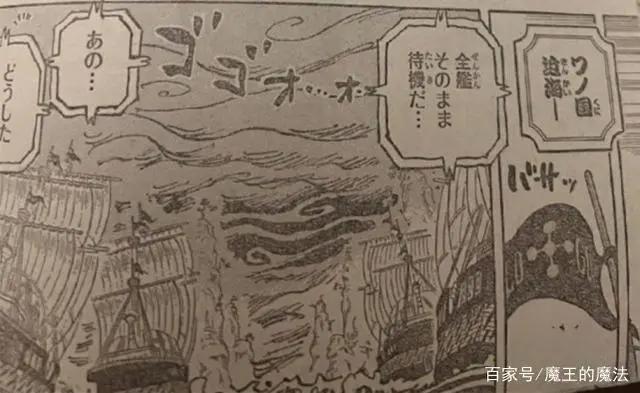 海贼王：曾瞬秒10亿赏金杰克的象主，其实它还藏有一个天大秘密