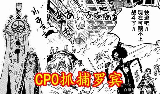 海贼王1031情报五要点:山治请索隆杀死自己,CP0抓捕罗宾
