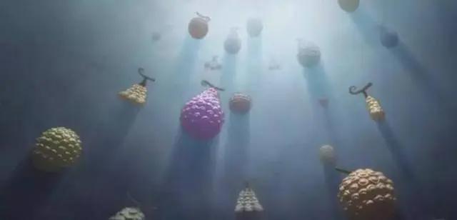 《海贼王》至906话恶魔果实大全