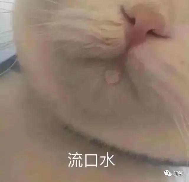 他是首位拥有Z世代时尚明星所有必须气质的人?