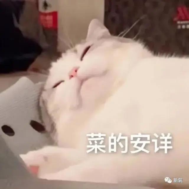 他是首位拥有Z世代时尚明星所有必须气质的人?