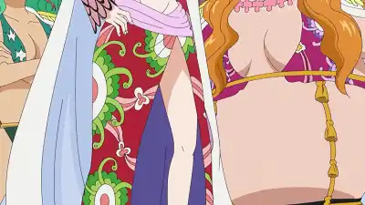 她们是海贼王中9位女神,与路飞交际颇深而且将近一半是公主