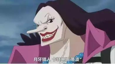 《海贼王》悬赏金额最高5位女性海贼，罗宾第五、女帝第四