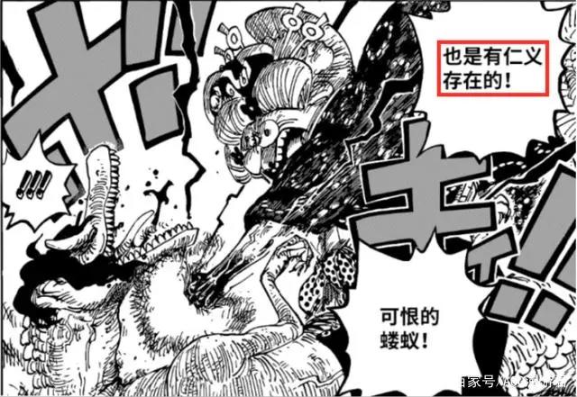 海贼王|飞六胞到底什么水平?他们为何不如老七武海?