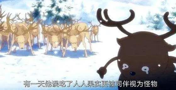 海贼王：乔巴的那些过往秘事