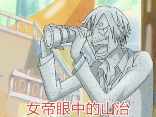 海贼王不同人眼中的山治,内容过于真实,山治迷请高抬贵手!