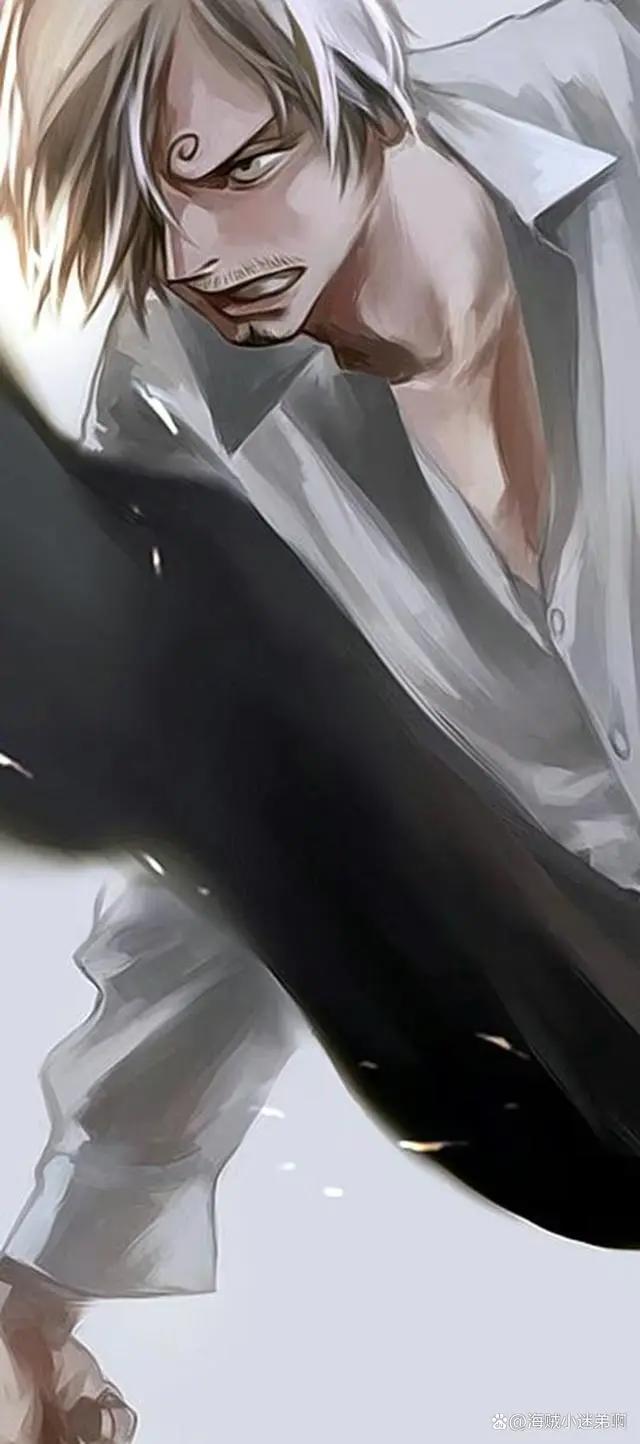 海贼王人物介绍山治篇