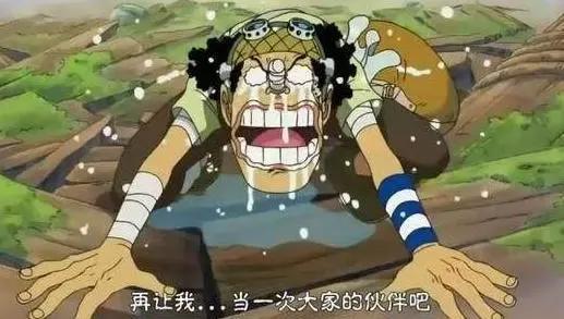 海贼王:乌索普为何要离开团队一次,大学毕业后才明白这三个道理