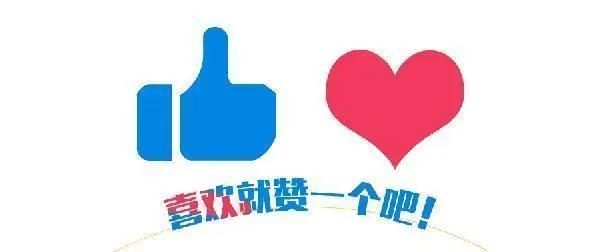 海贼王：高冷男神罗，也架不住草帽团的搞怪沙雕攻势，简直爆笑！
