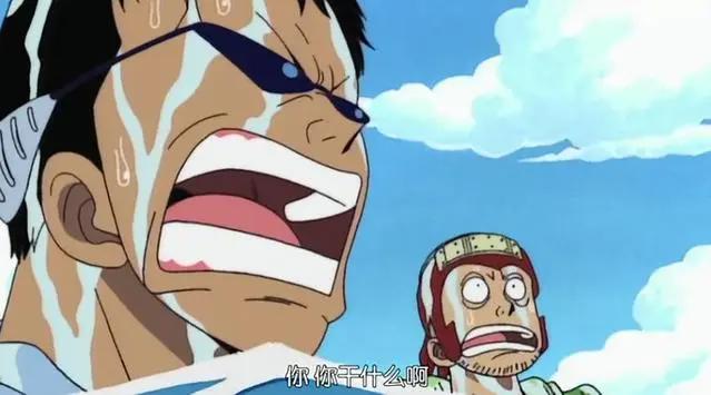 海贼王:真的很讨厌这样的娜美