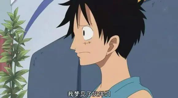 海贼王：娜美和路飞的cp感那么强，女帝该如何是好！