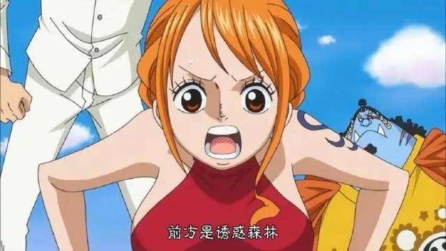 海贼王845集:娜美初显恶魔本性,两大萌宠尽在娜美玩弄之中!