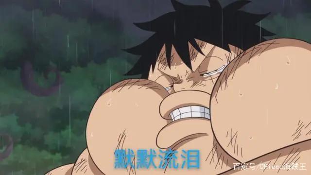 娜美的4大“魔鬼”瞬间，被索隆诅咒不得好死，被佩德罗吐槽恶鬼