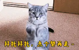 LOL娜美新皮肤被曝光,Q技能特效是扔珍珠,人物酷似红烧鲤鱼