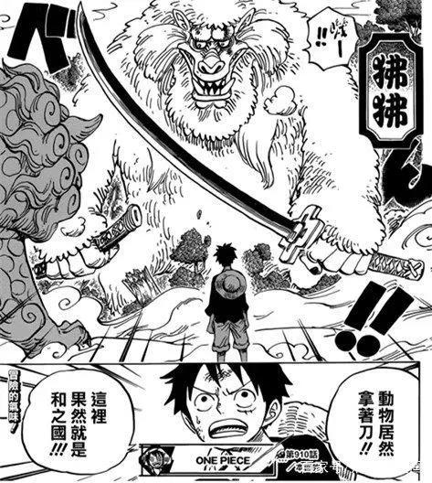 海贼王910话,娜美再一次美出新高度
