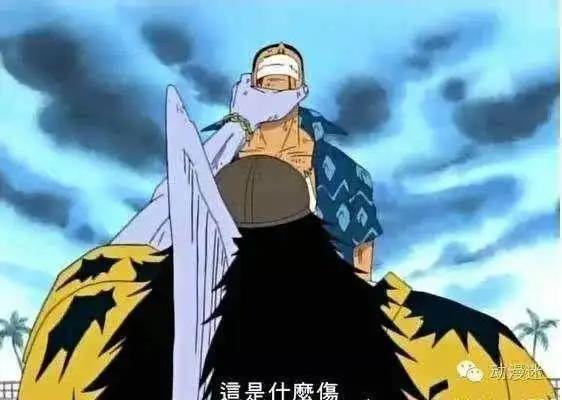 海贼王里能伤到索隆的7大角色，第一个可以吹一辈子了！
