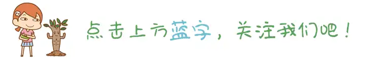 海贼王:索隆最在意的四个角色,一个已经不在了,最后一位很可爱