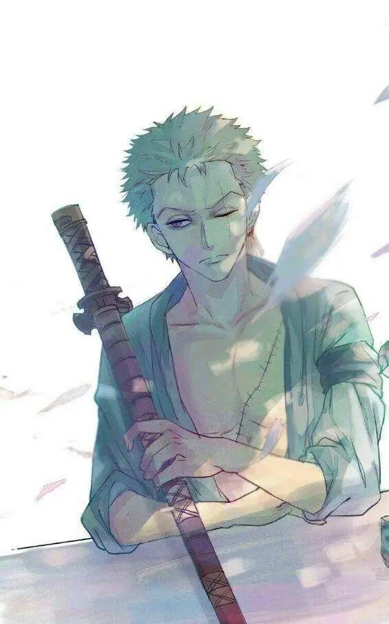 还记得《海贼王》里的索隆?预计还要掉线一年!