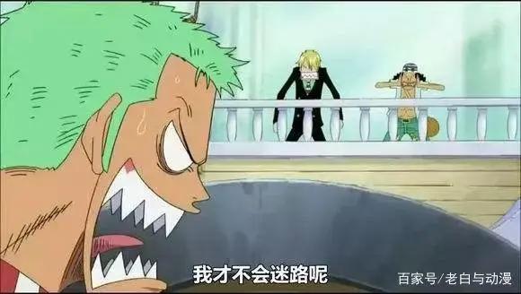 海贼王:适合索隆的五颗果实,第三颗是他想要的,最后一颗不存在